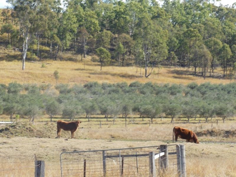 121 Brown Road, Frazerview QLD 4309