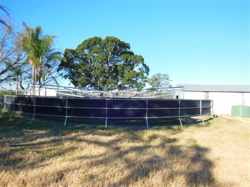 557 Rosevale Road, Rosevale QLD 4340