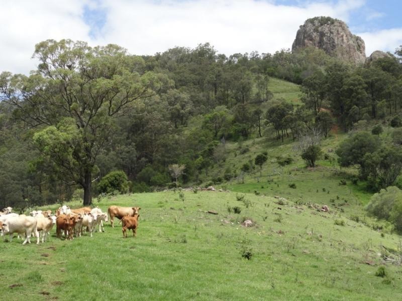 88 Pocknee Road, Moogerah QLD 4309