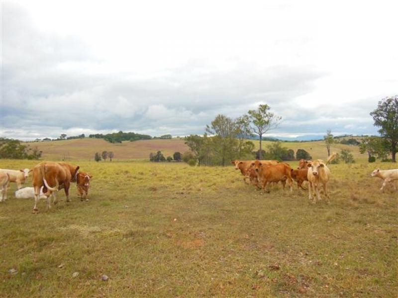 lot 2 Pearson Road, Blantyre QLD 4310
