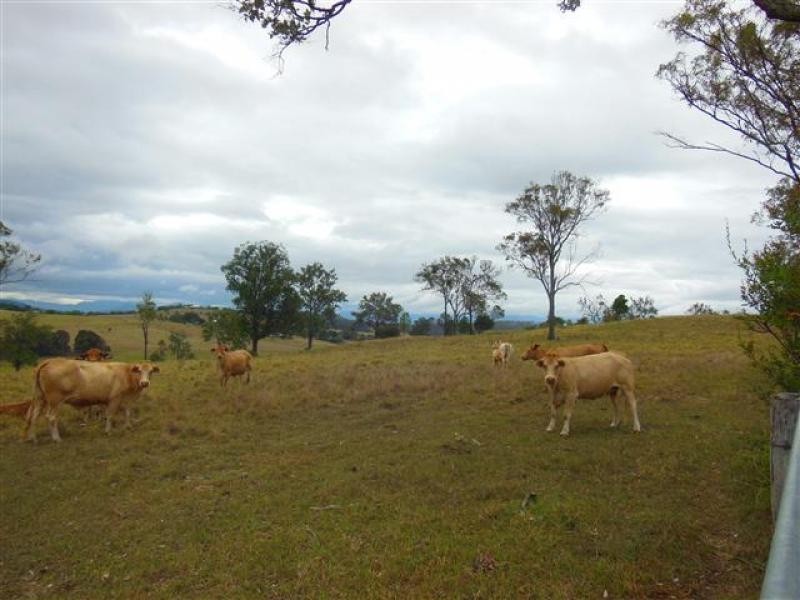 lot 2 Pearson Road, Blantyre QLD 4310
