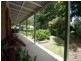 29 Flame Tree Court, Walloon QLD 4306