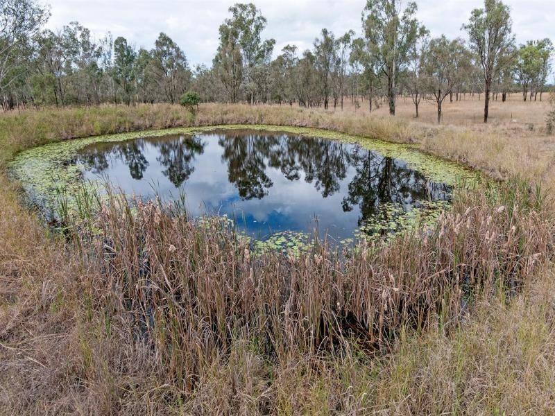 292 Kuss Rd, Lower Mount Walker QLD 4340