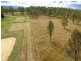 292 Kuss Rd, Lower Mount Walker QLD 4340