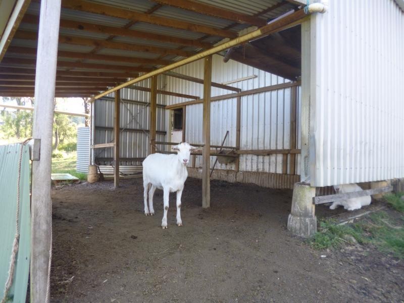 179 Minden Post Office Road, Minden QLD 4311