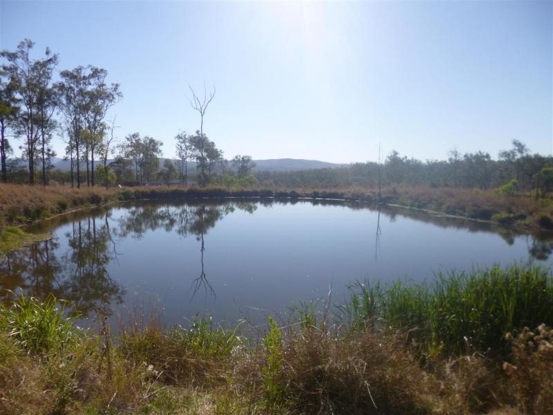 82 Forest Ridge Crescent, Mount Mort QLD 4340