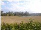 227 Poplar Street, Walloon QLD 4306