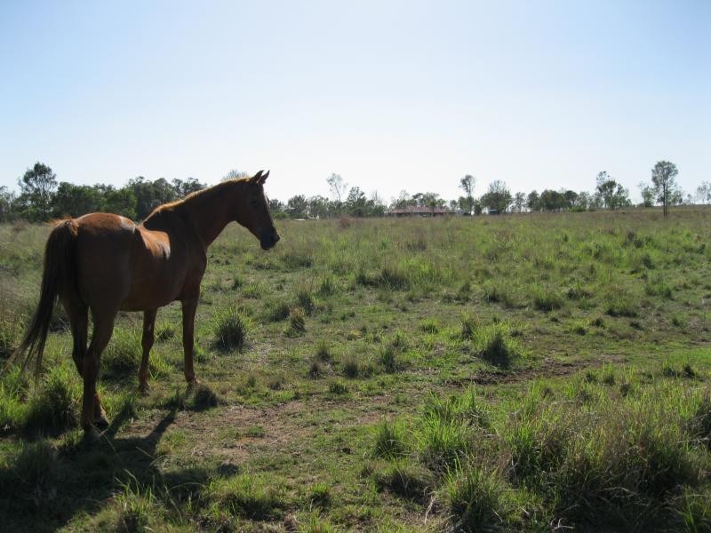 66 Jones Road, Calvert QLD 4340