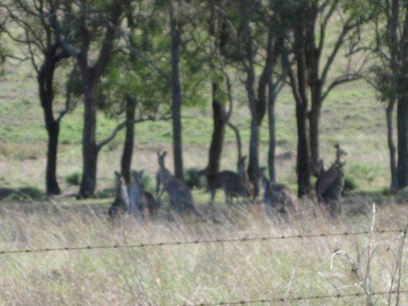 66 Jones Road, Calvert QLD 4340