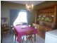227  Poplar Street, Walloon QLD 4306
