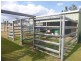227  Poplar Street, Walloon QLD 4306