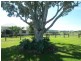 99 Lukritzs Road, Tarampa QLD 4311