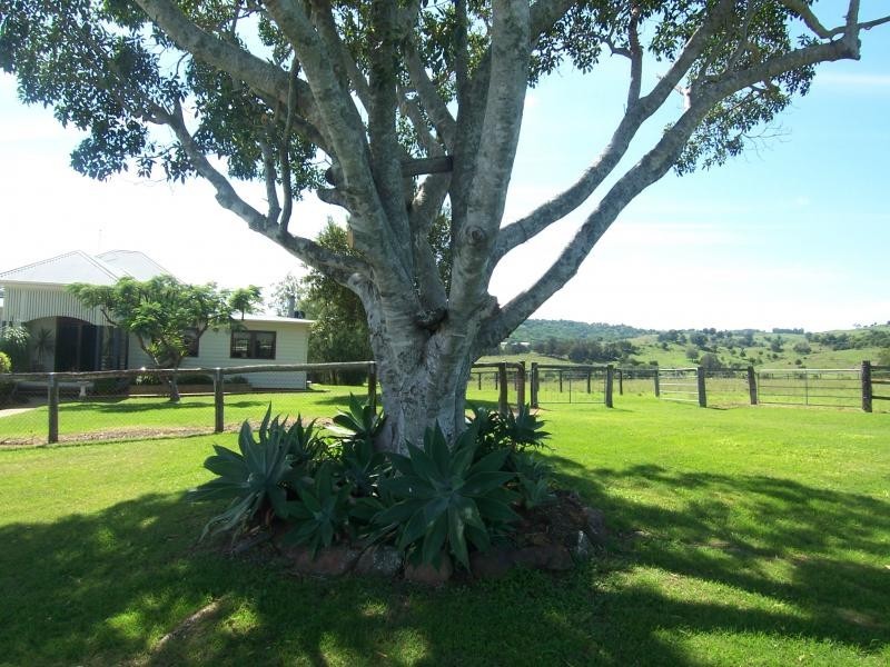 99 Lukritzs Road, Tarampa QLD 4311