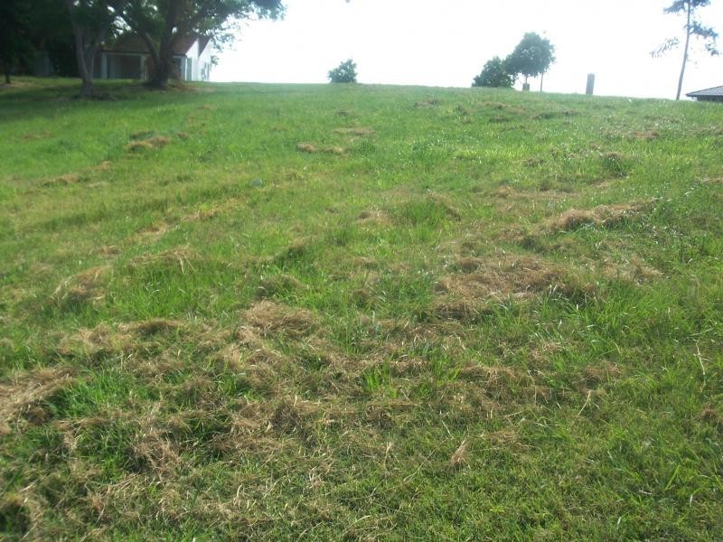 lot 4 Kunkala Crt, Rosewood QLD 4340