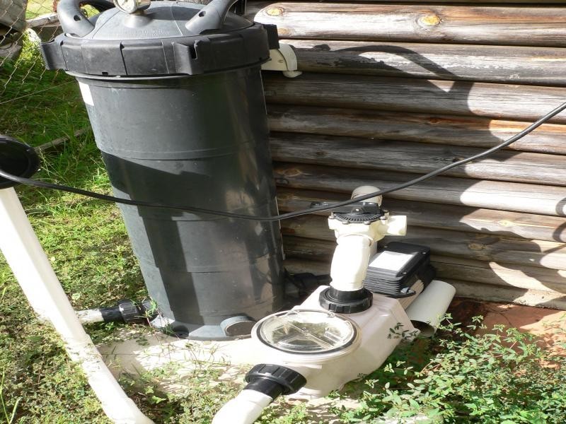 10 Macadamia Ct, Walloon QLD 4306