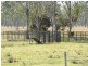 229 Reillys Road, Lanefield QLD 4340