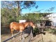 10 Seidels Road, Walloon QLD 4306