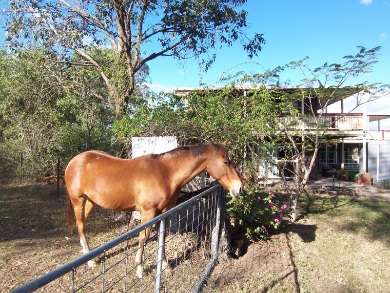 10 Seidels Road, Walloon QLD 4306