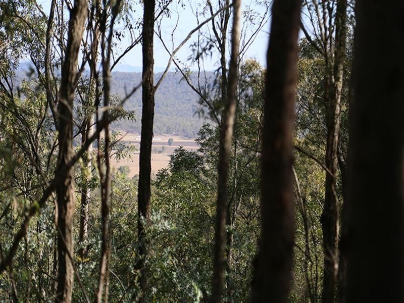 134 Mountain Scrub Road, Tallegalla QLD 4340