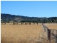 lot 20 Urry Road, Ashwell QLD 4340