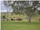 62 E.Grace Road, Maroon QLD 4310