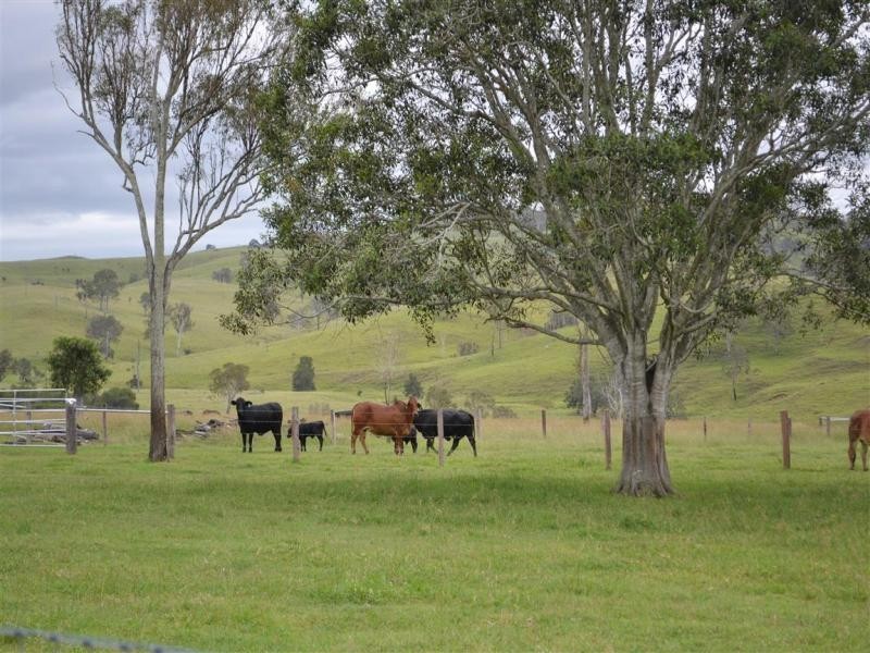 62 E.Grace Road, Maroon QLD 4310