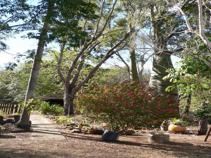 47 Earls Road, Marburg QLD 4346