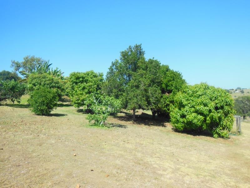 252 STANFIELD ROAD, Teviotville QLD 4309