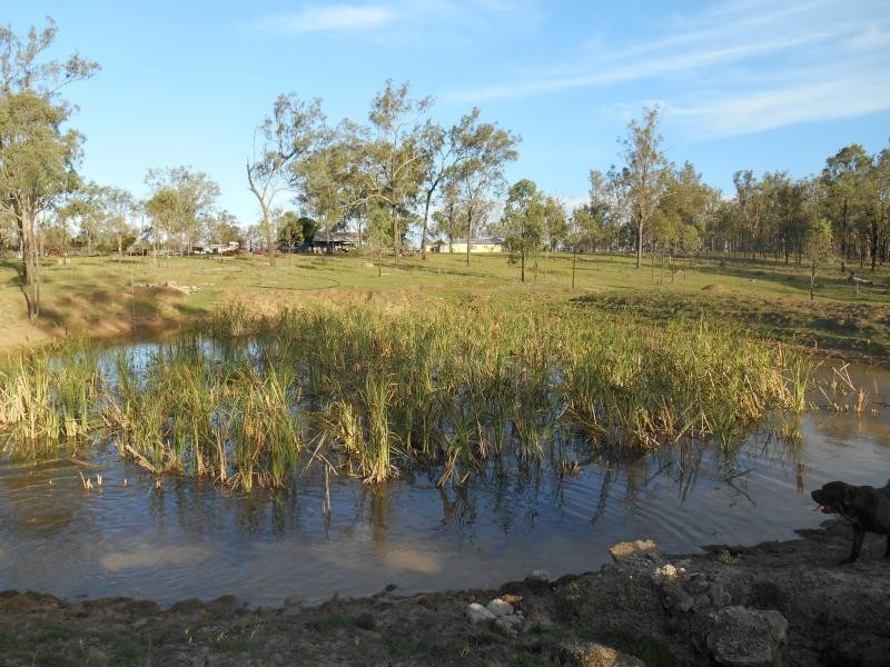Lower Mount Walker QLD 4340