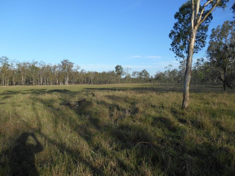 Lower Mount Walker QLD 4340