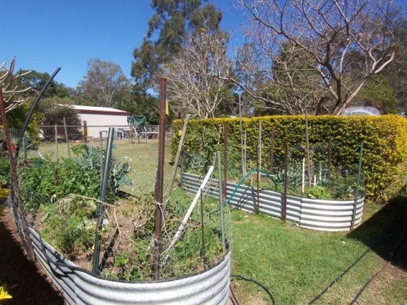 8 Macadamia Ct, Walloon QLD 4306