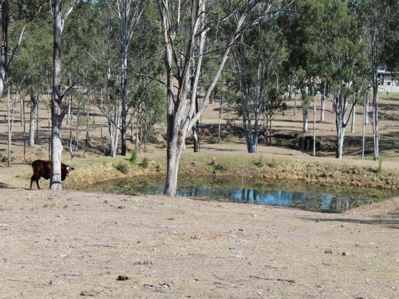 66 Poplar St, Walloon QLD 4306