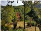 722 Riverside Dr, Pine Mountain QLD 4306