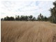 25 Calvin st, Walloon QLD 4306