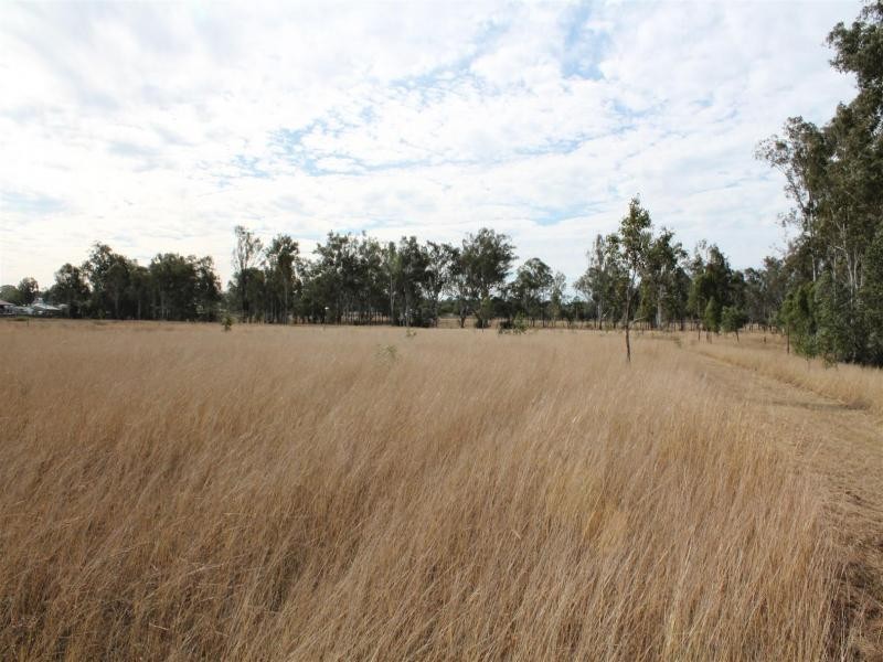 25 Calvin st, Walloon QLD 4306