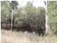 25 Calvin st, Walloon QLD 4306