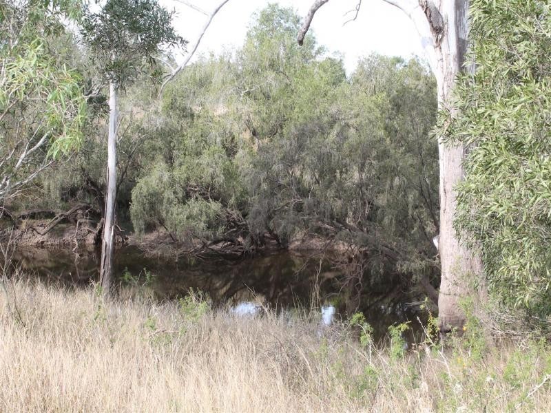 25 Calvin st, Walloon QLD 4306