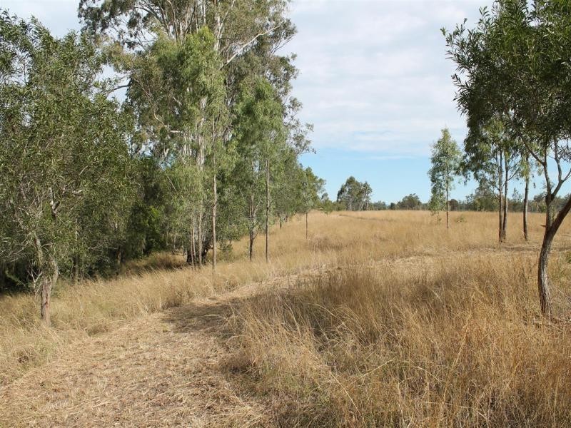 25 Calvin st, Walloon QLD 4306
