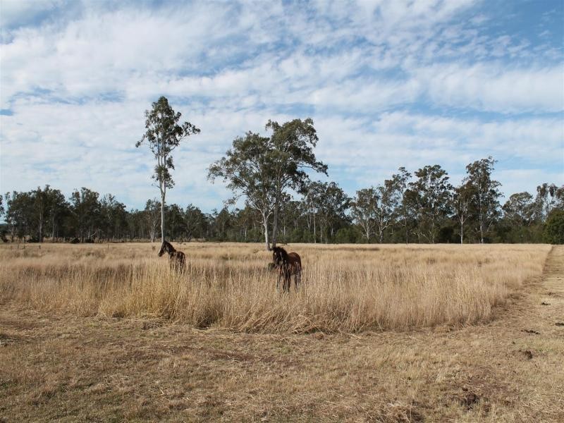 25 Calvin st, Walloon QLD 4306