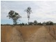 25 Calvin st, Walloon QLD 4306