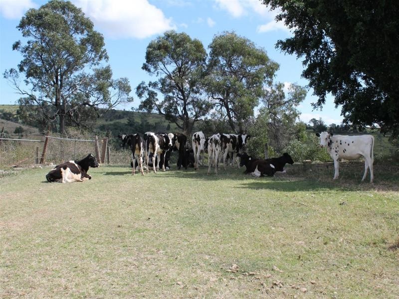44  Kickbuschs Road, Marburg QLD 4346