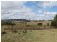 44  Kickbuschs Road, Marburg QLD 4346