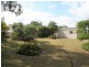 50 Flame Tree Court, Walloon QLD 4306