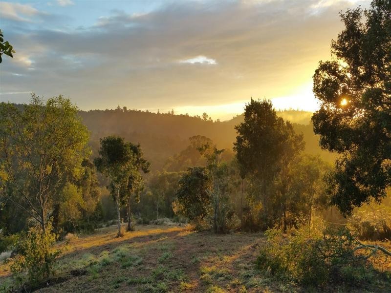 722 Riverside Drive, Pine Mountain QLD 4306