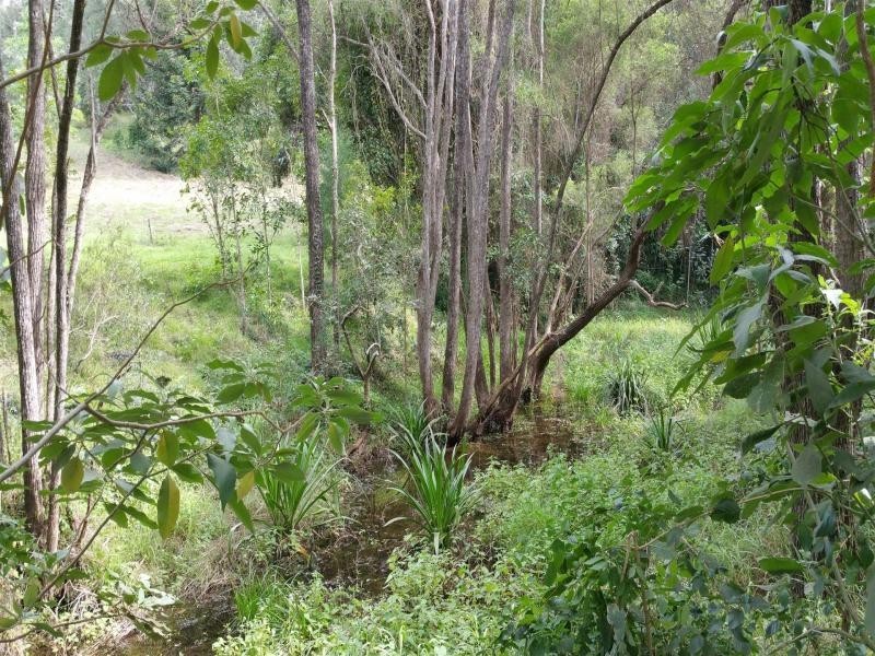 722 Riverside Drive, Pine Mountain QLD 4306