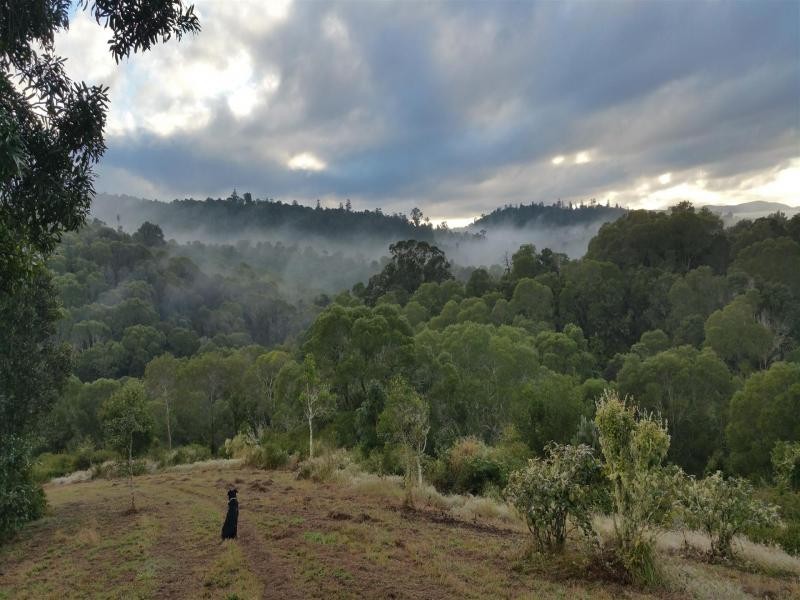 722 Riverside Drive, Pine Mountain QLD 4306