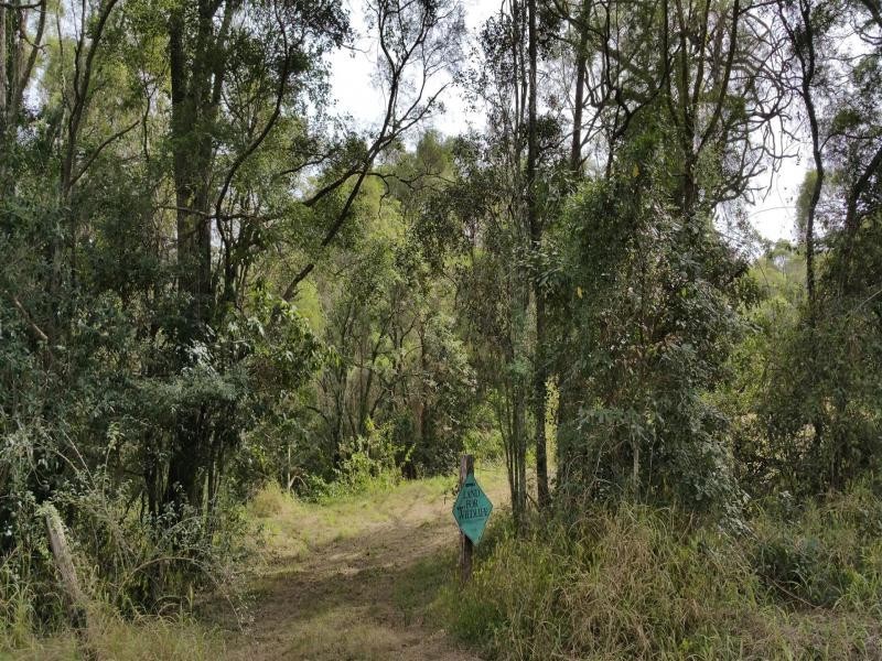 722 Riverside Drive, Pine Mountain QLD 4306