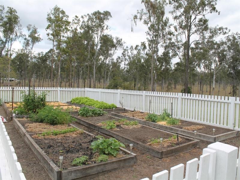 439 Haigslea-Amberley Rd, Walloon QLD 4306