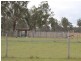 439 Haigslea-Amberley Rd, Walloon QLD 4306