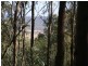 134 Mountain Scrub Road, Tallegalla QLD 4340